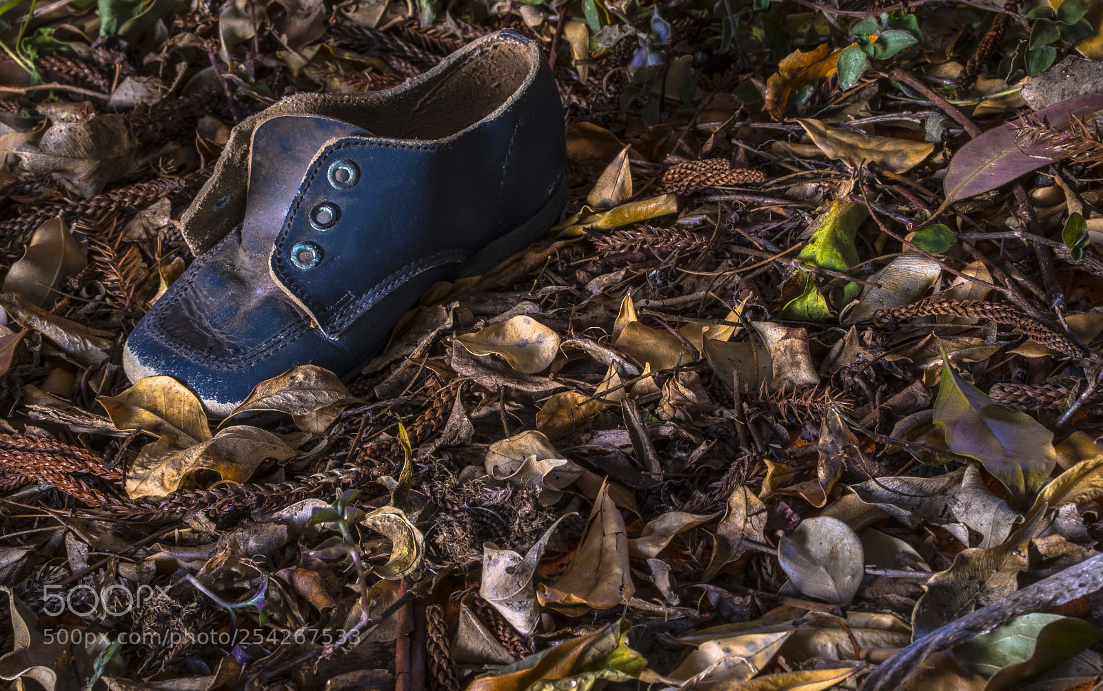 Sony a7R III sample photo. Little blue shoe photography