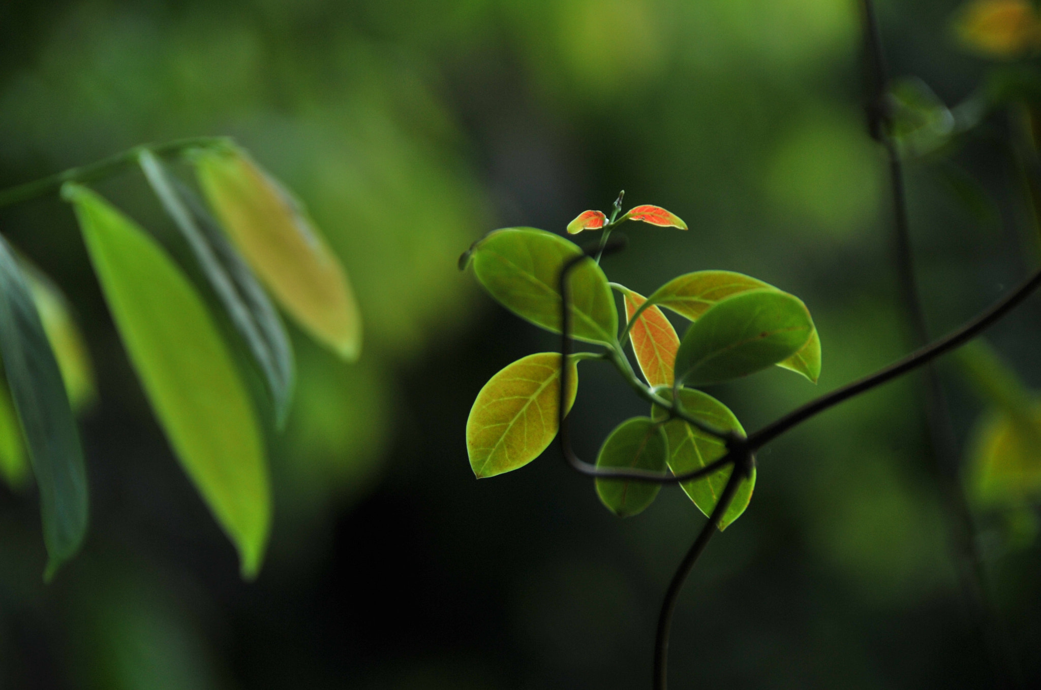 Nikon D3S sample photo. .. photography