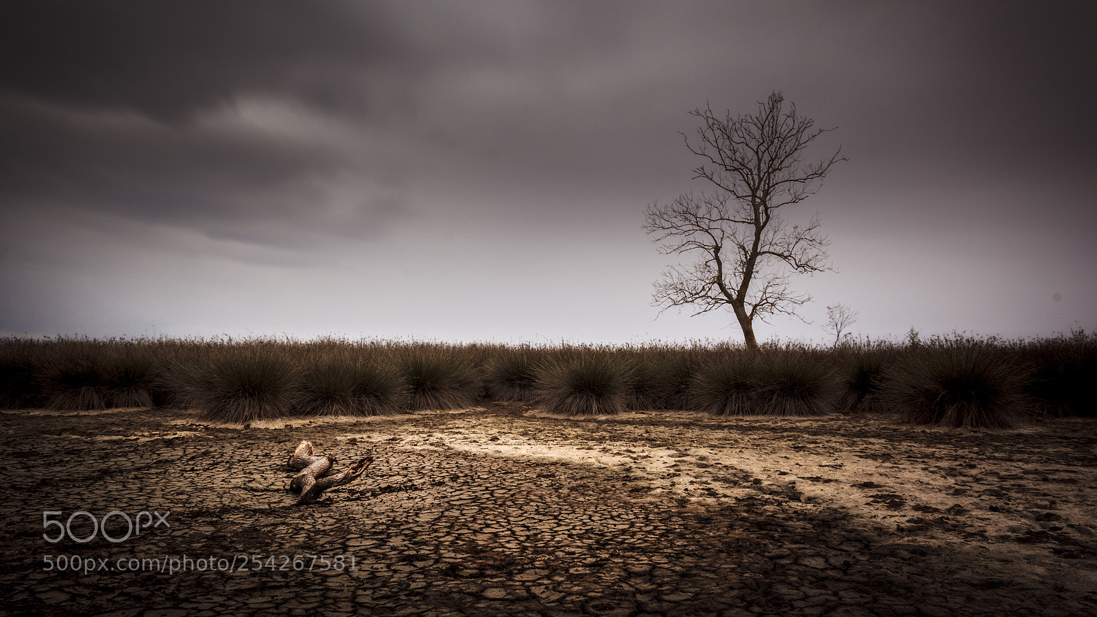 Canon EOS 60D sample photo. Drought photography