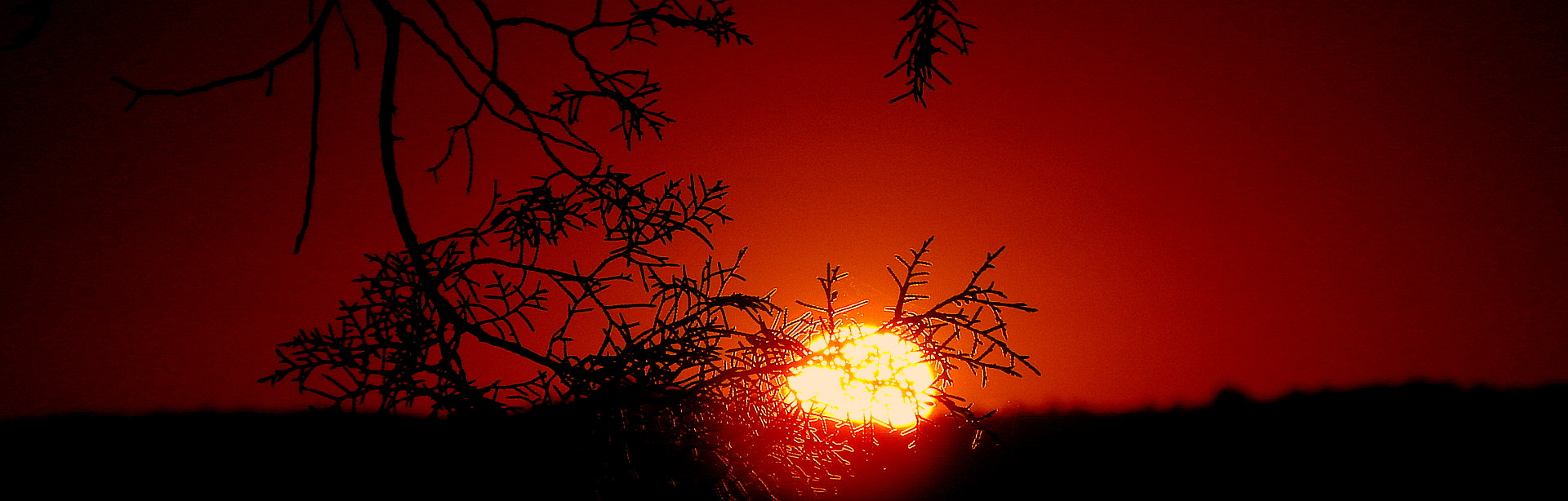 Fujifilm FinePix SL1000 sample photo. Day end .... photography