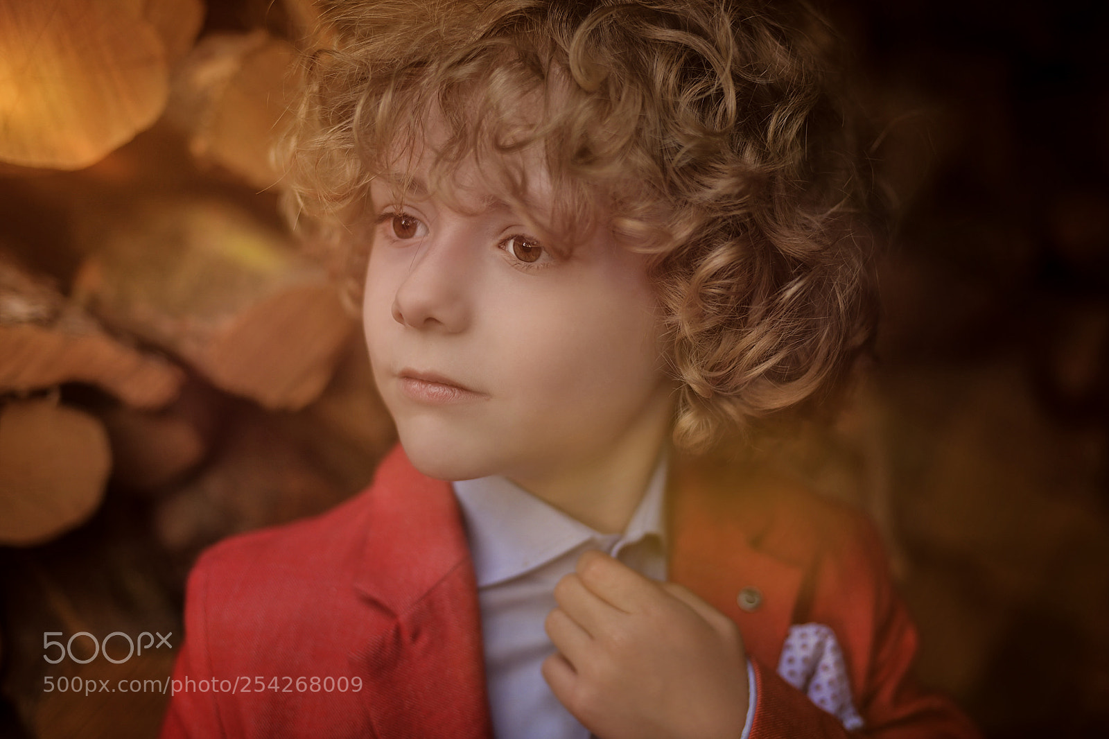 Nikon D850 sample photo. Little gentleman photography