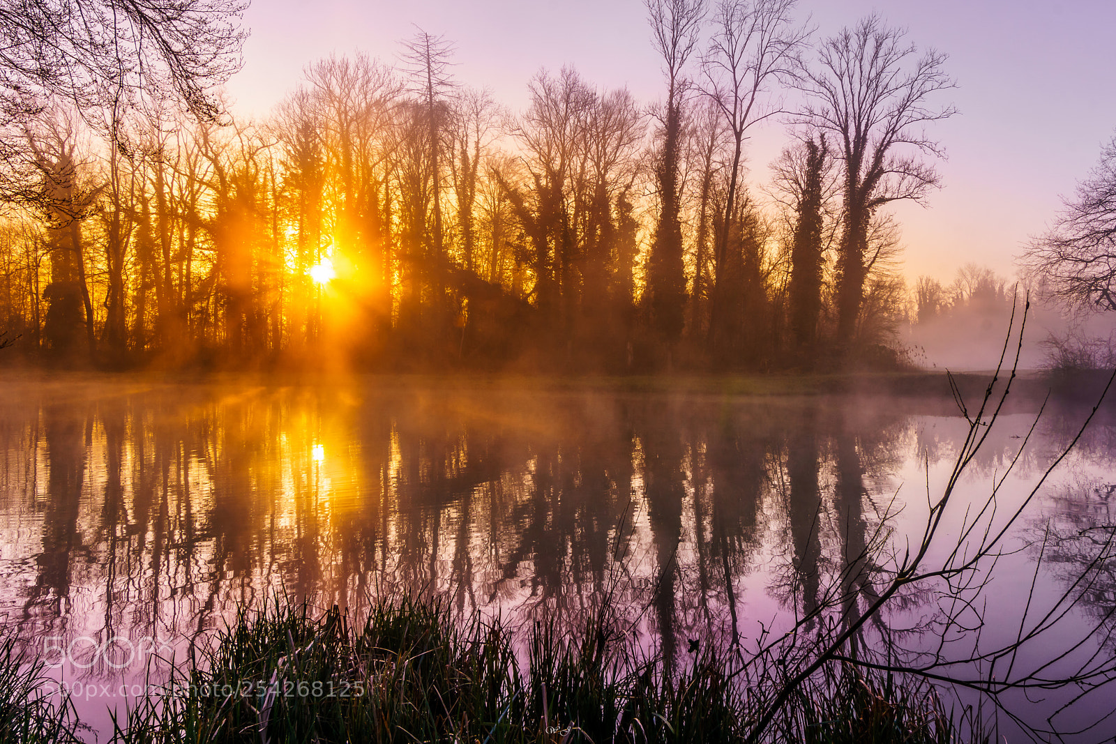 Sony ILCA-77M2 sample photo. Moody morning photography