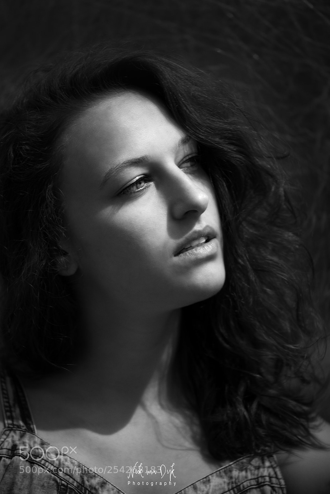 Nikon D800 sample photo. Leida s2 ~ iii photography