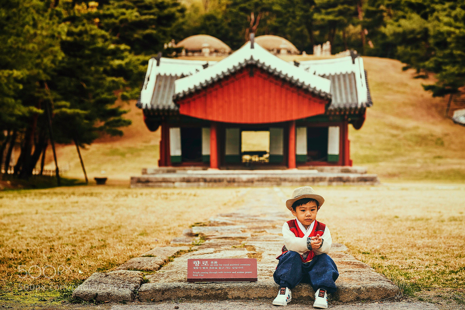 Sony a7R III sample photo. Royal tomb of chosun photography