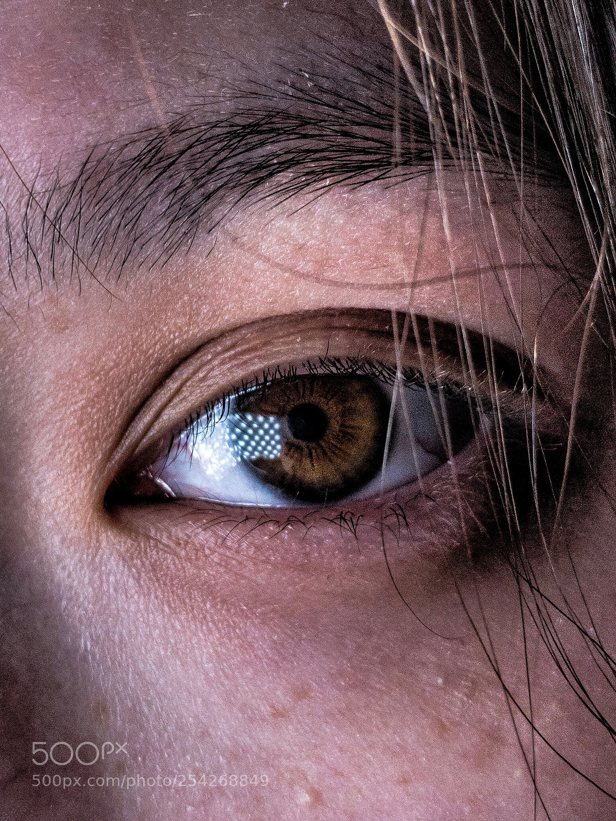 Apple iPhone 7 Plus sample photo. Iphoneography or eyephoneography photography