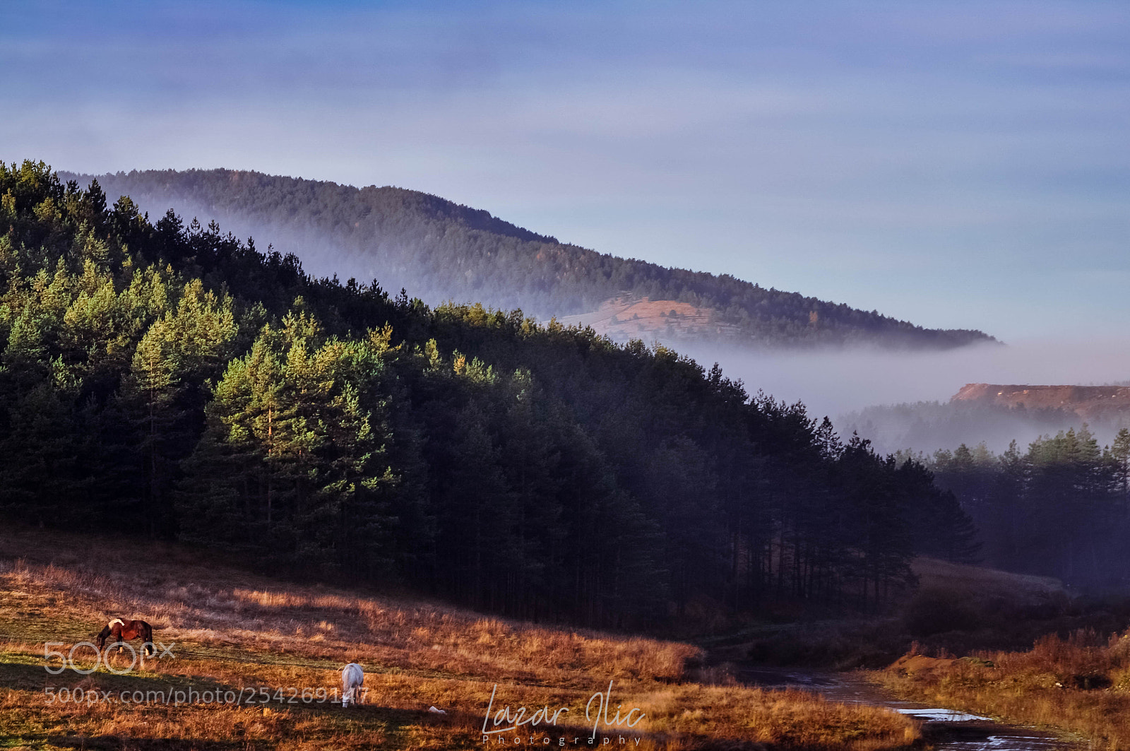Nikon D5000 sample photo. Heavenly morning photography