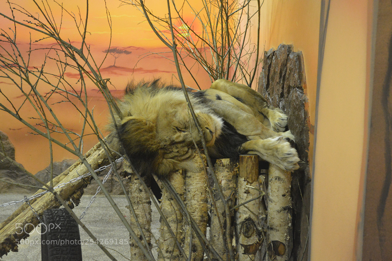 Nikon D3200 sample photo. Dsc photography