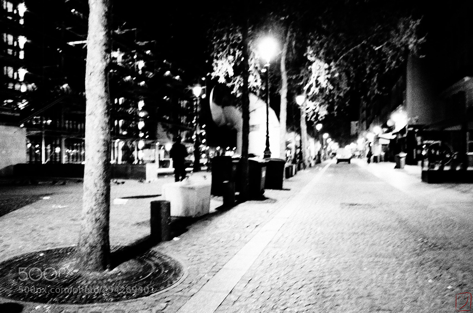 Ricoh GR II sample photo. Se confondre photography