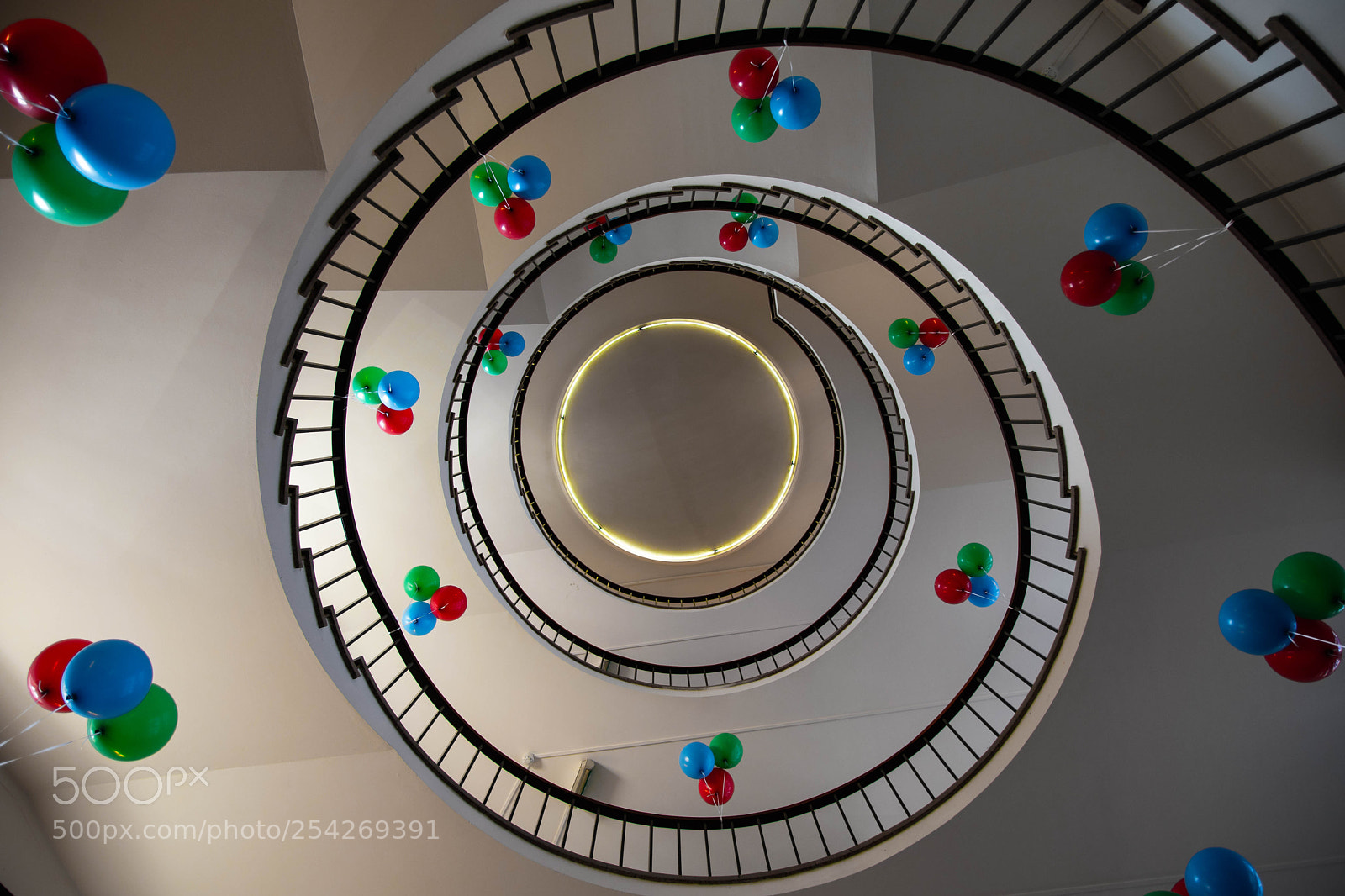 Nikon D5600 sample photo. Festive spiral staircase photography