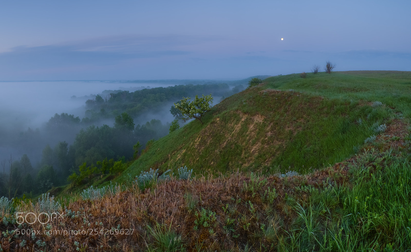 Fujifilm X-E1 sample photo. Moonset above the foggy photography