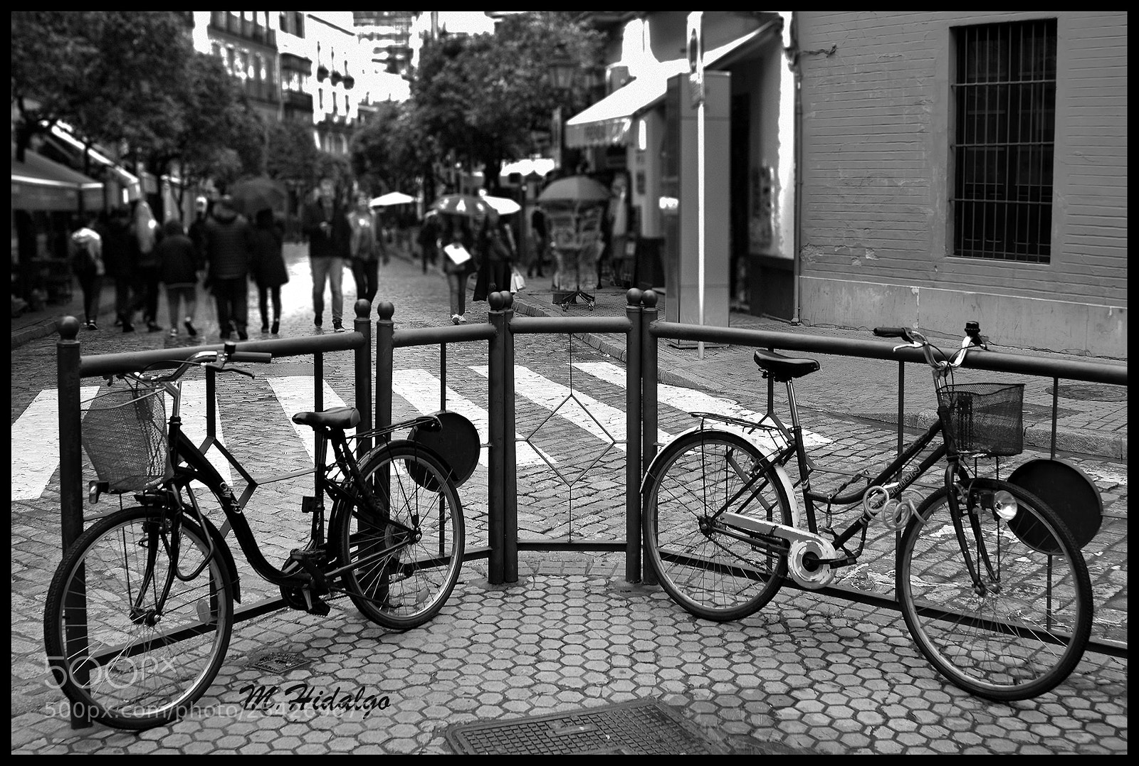 Nikon D3300 sample photo. Bicis vintage photography