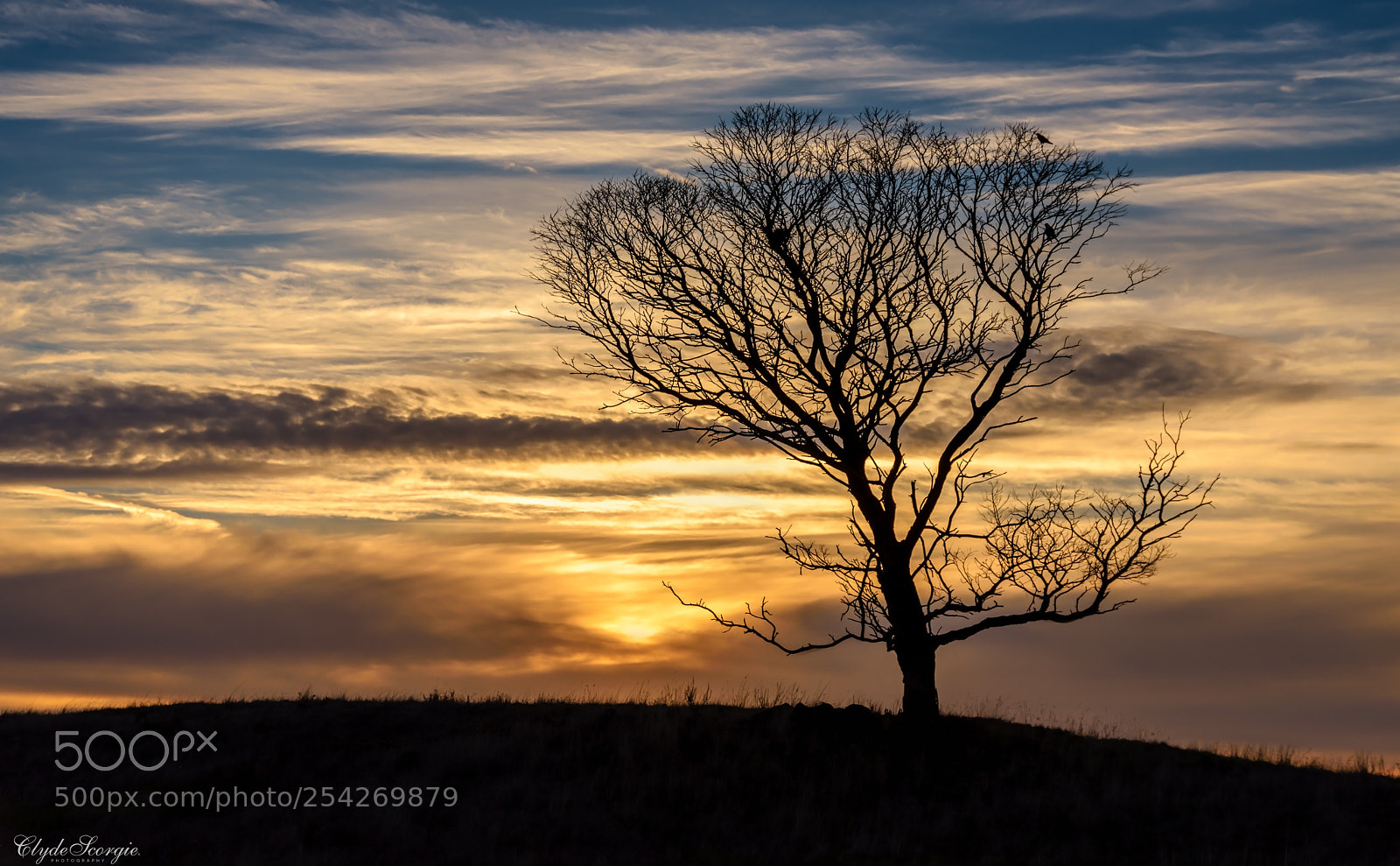 Nikon D810 sample photo. Ready for winter photography