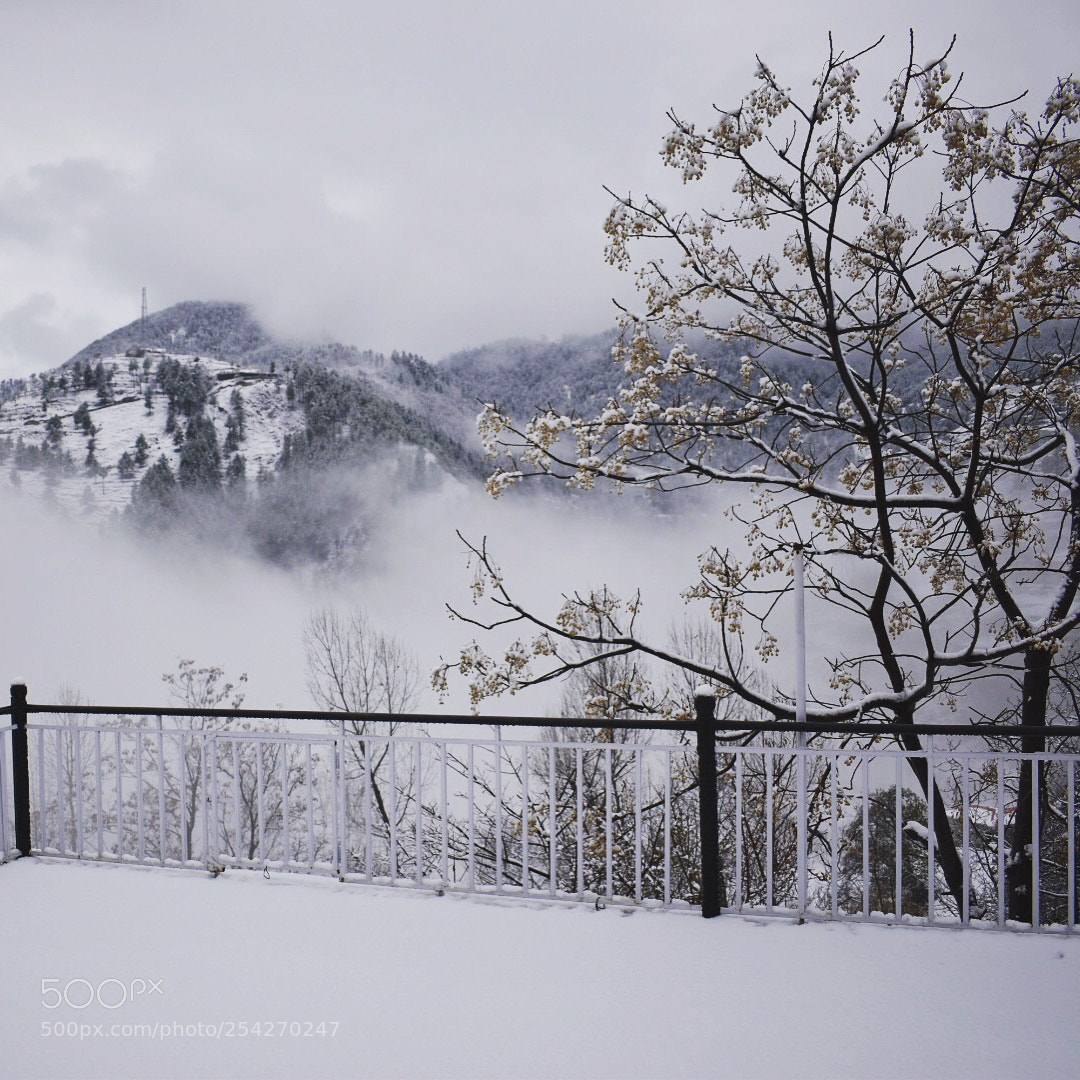 Nikon D5500 sample photo. Winter is coming photography