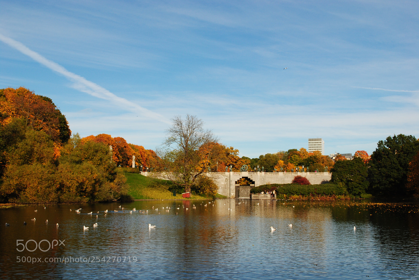 Nikon D3000 sample photo. Urban park mindfulness photography
