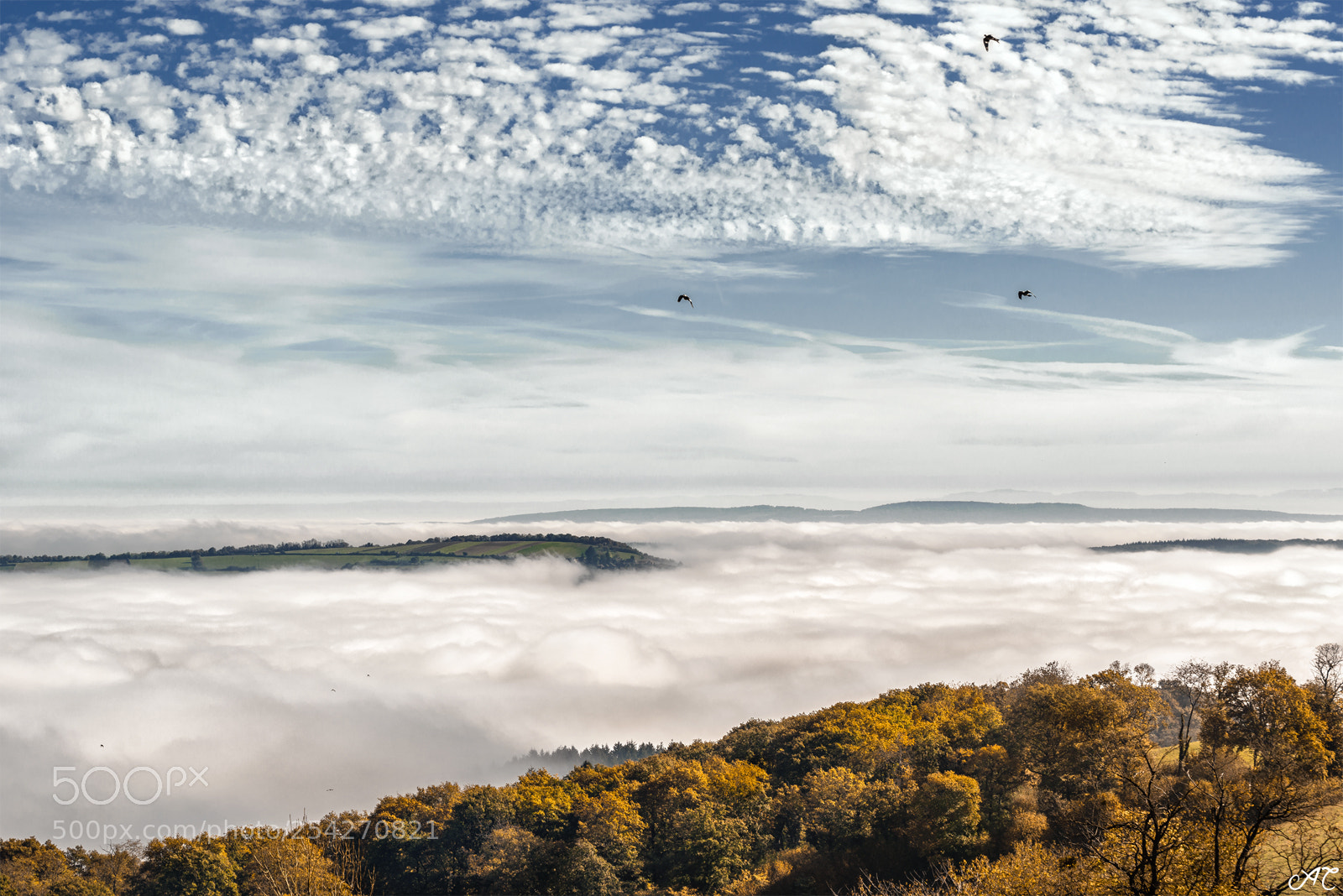 Nikon D800 sample photo. Fog photography