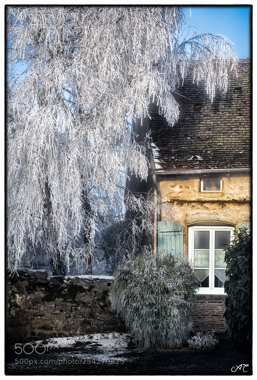 Nikon D800 sample photo. Snow-white cottage photography