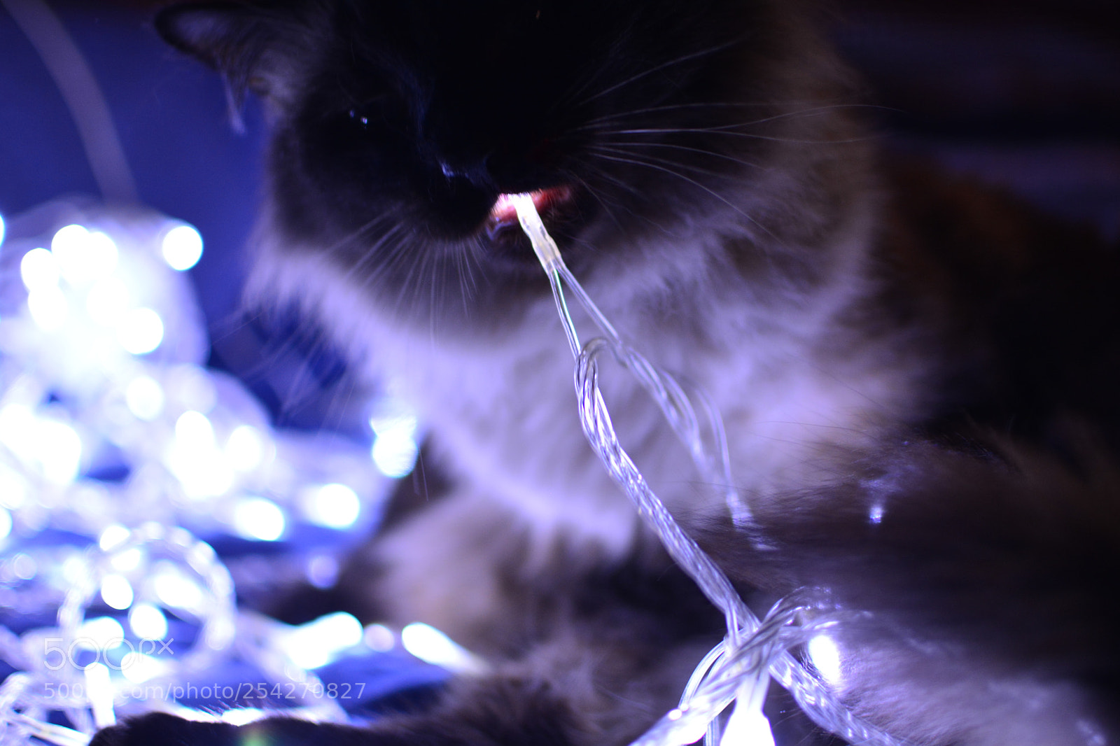 Nikon D5200 + Nikon AF-S DX Nikkor 35mm F1.8G sample photo. Tasty light bulb ? photography