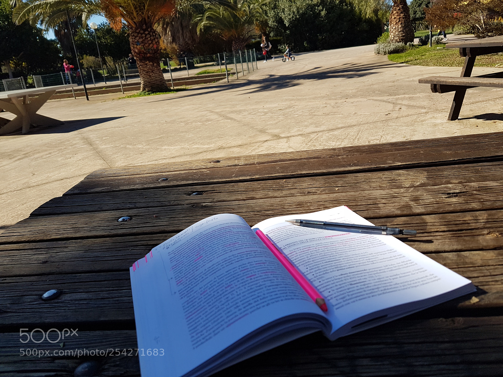 Samsung Galaxy S7 Edge sample photo. Studying in the park photography