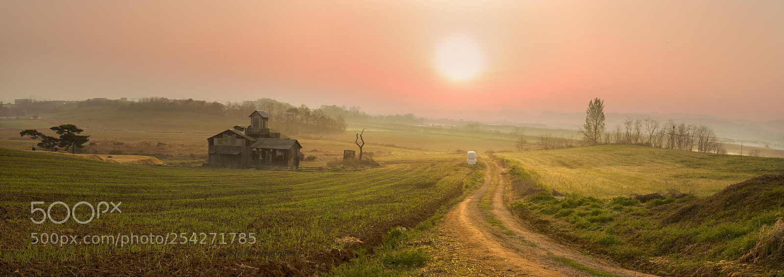 Nikon D800E sample photo. Fresh morning photography