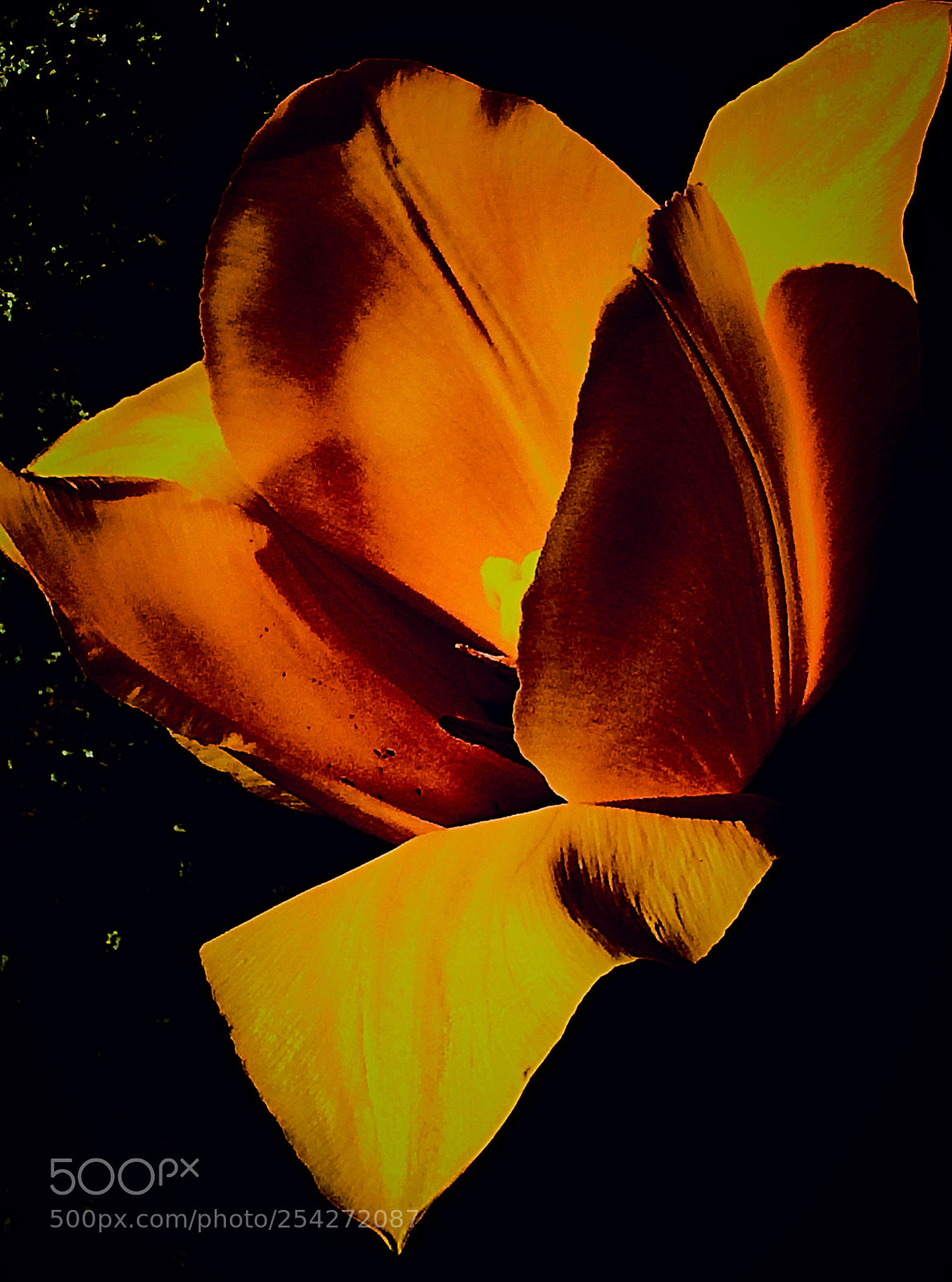 Apple iPhone 5s sample photo. Spring flavor  photography