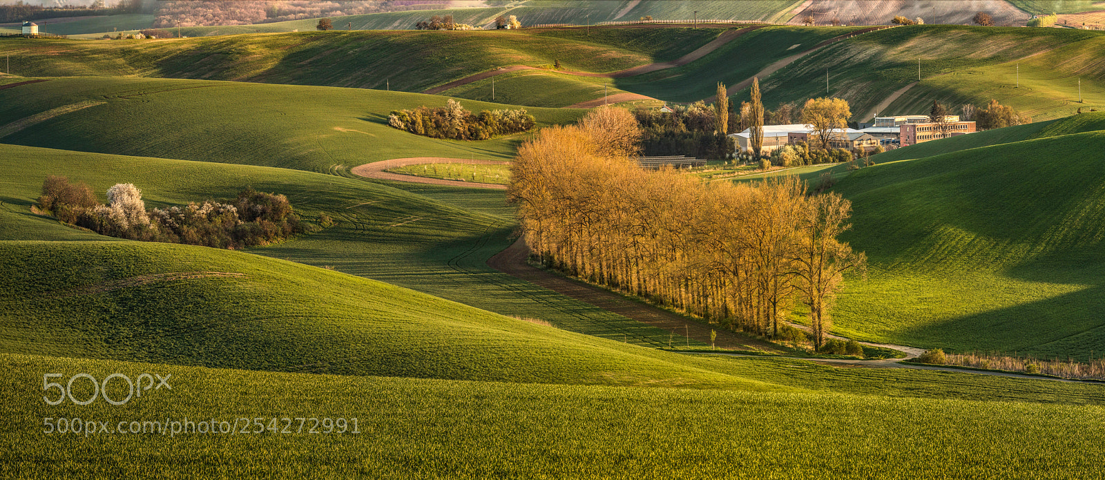 Canon EOS 5D Mark IV sample photo. Moravian countryside photography