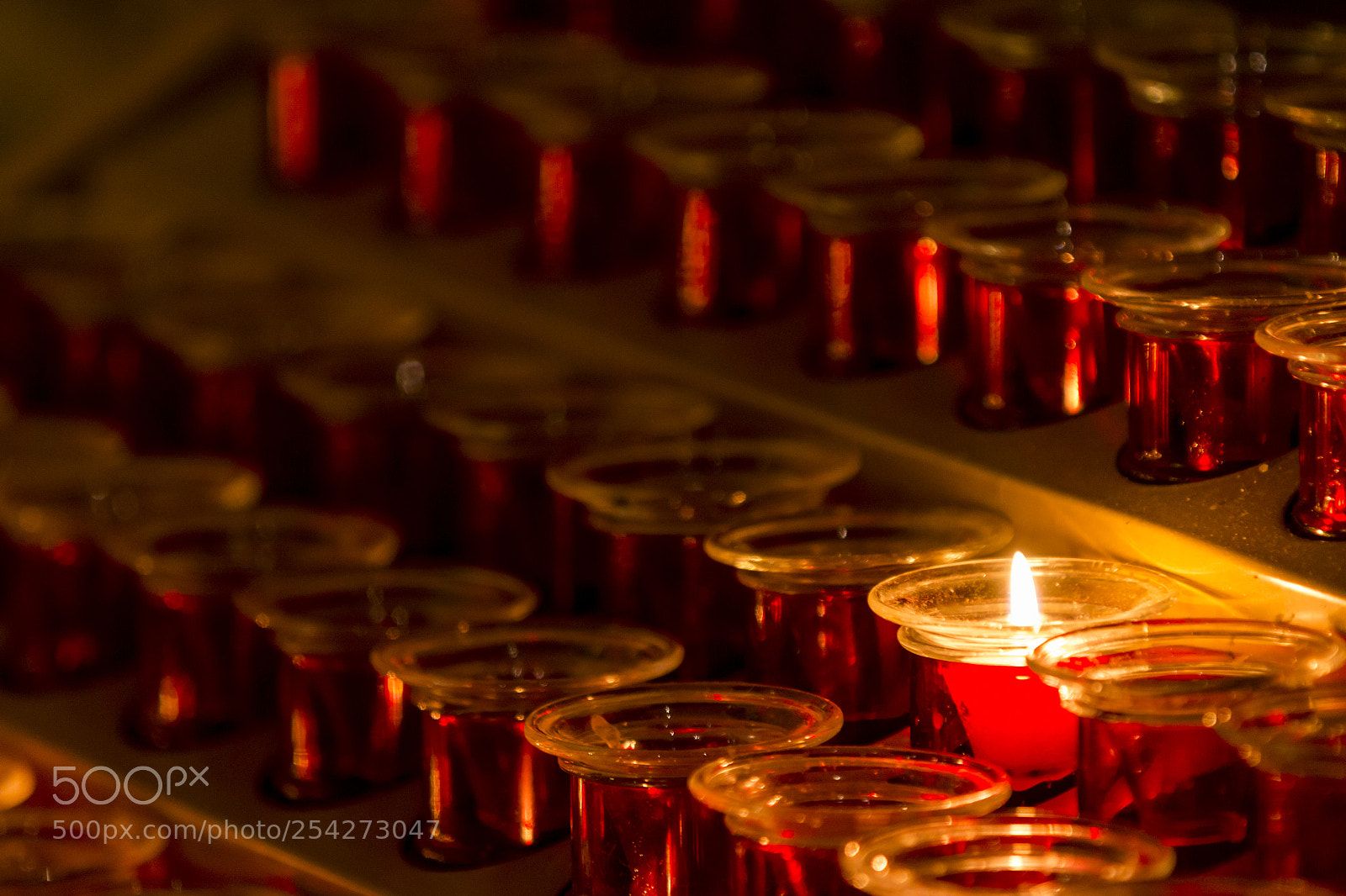 Canon EOS 70D sample photo. Close-up of warm lighting photography
