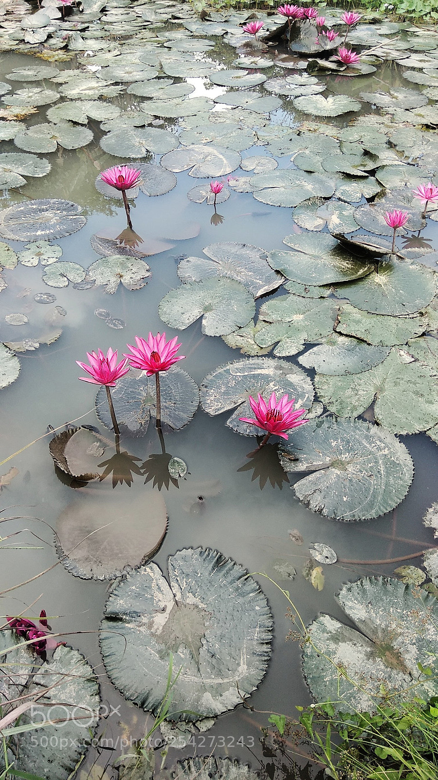 Xiaomi Redmi Note 4 sample photo. Beautifull lake photography