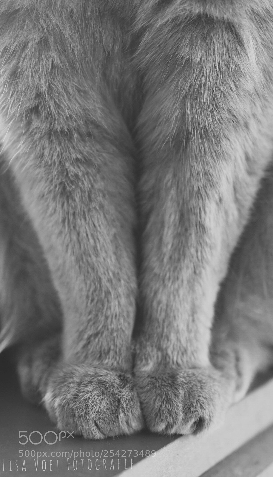 Nikon D7200 sample photo. Two little feet! ❤️ photography