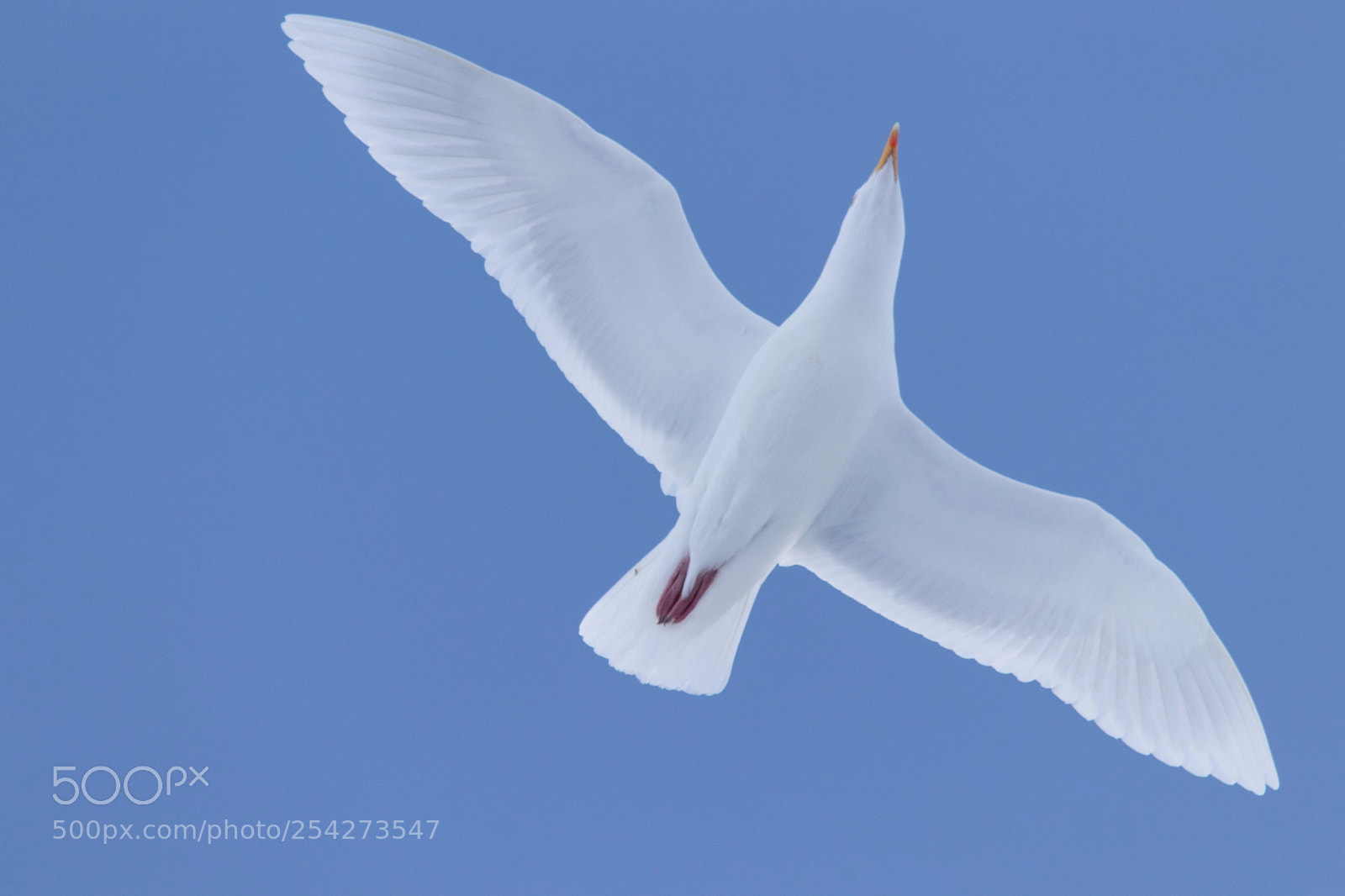 Canon EOS 80D sample photo. In flight photography