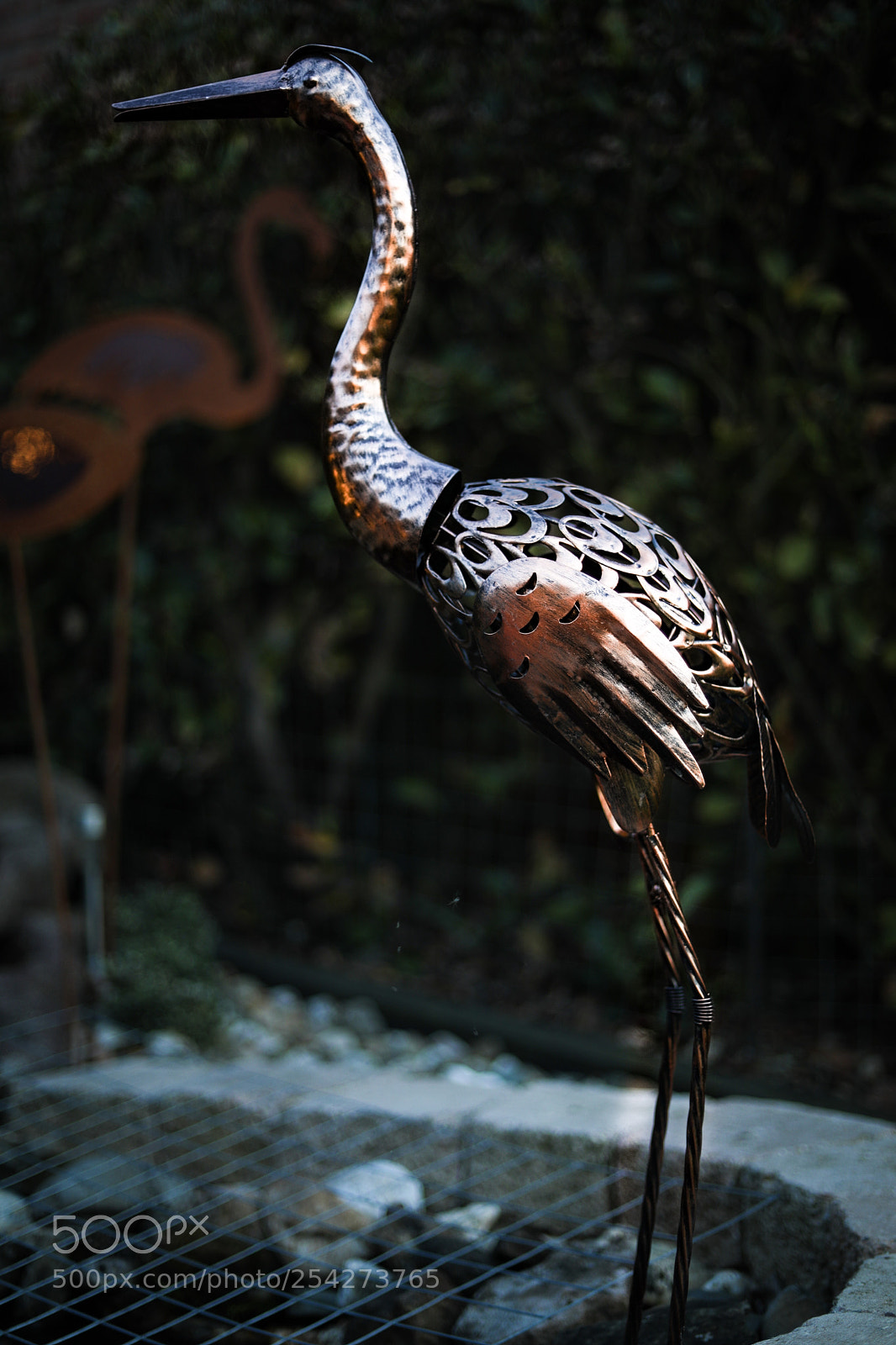 Canon EOS 5D Mark IV sample photo. Untitled photography