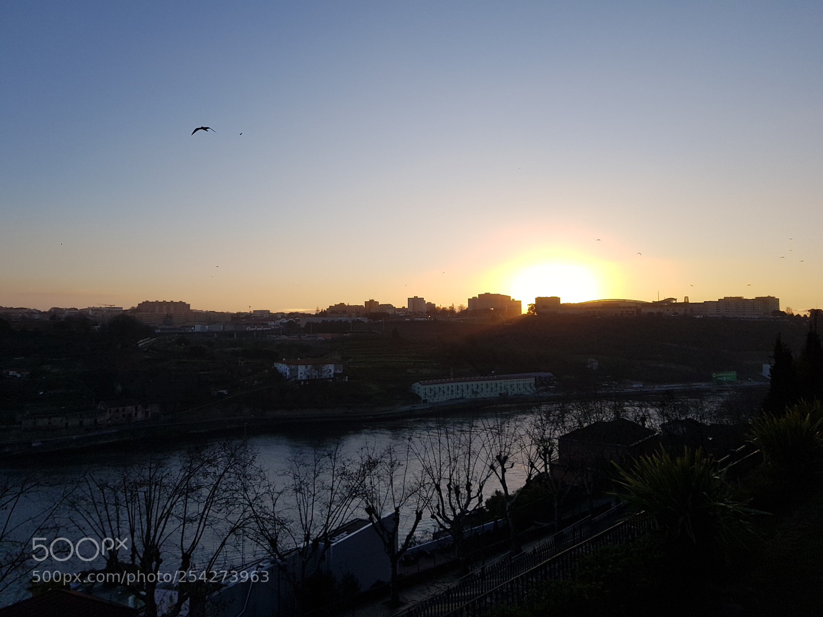 Samsung Galaxy S8+ sample photo. 20180114_171335.jpg photography