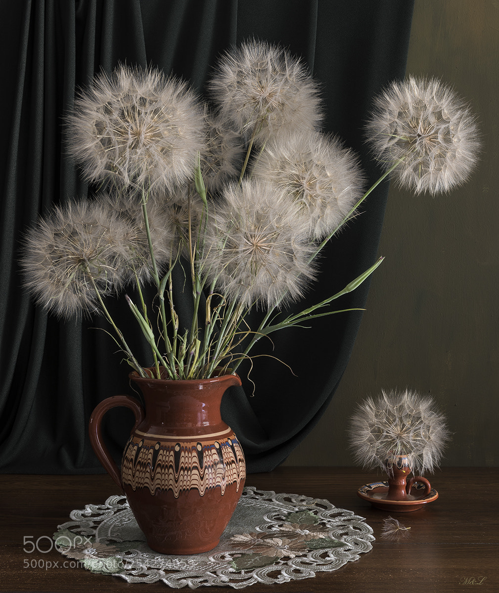 Nikon D810 sample photo. *** photography
