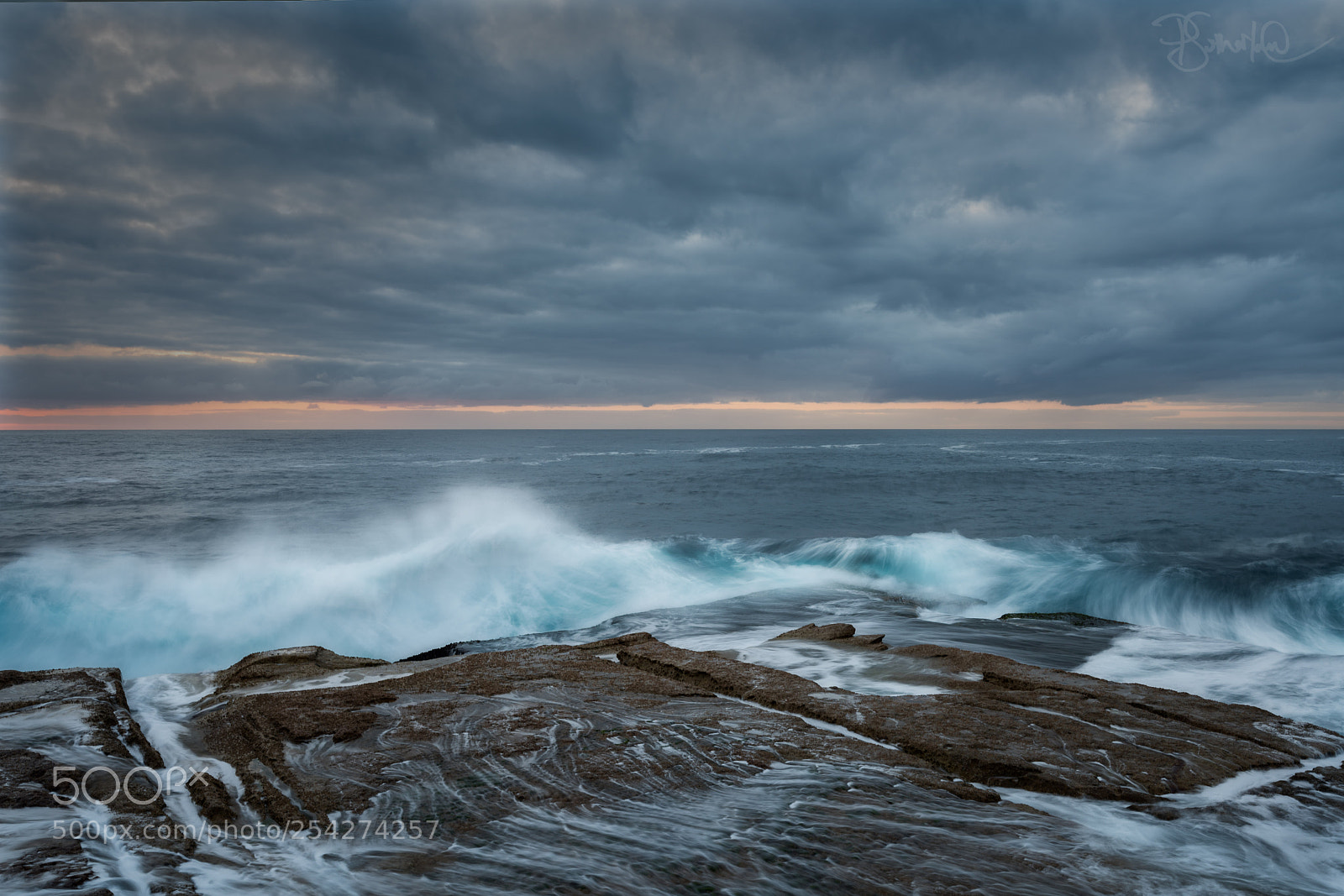 Nikon D810 sample photo. Wild at heart photography