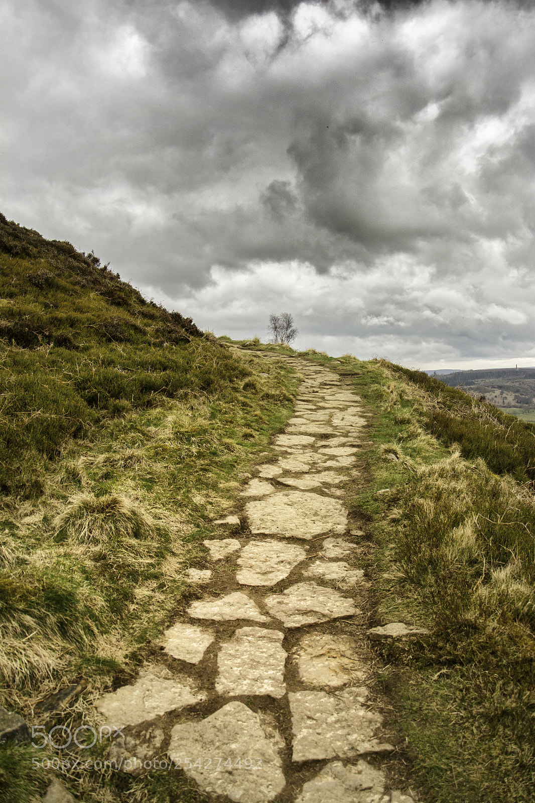 Nikon D5200 sample photo. Storm walk photography