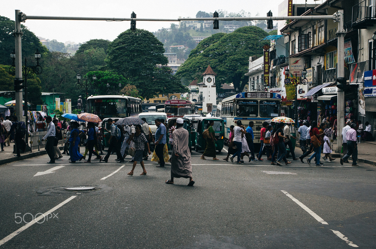 Sony Alpha DSLR-A580 sample photo. Sri lanka photography