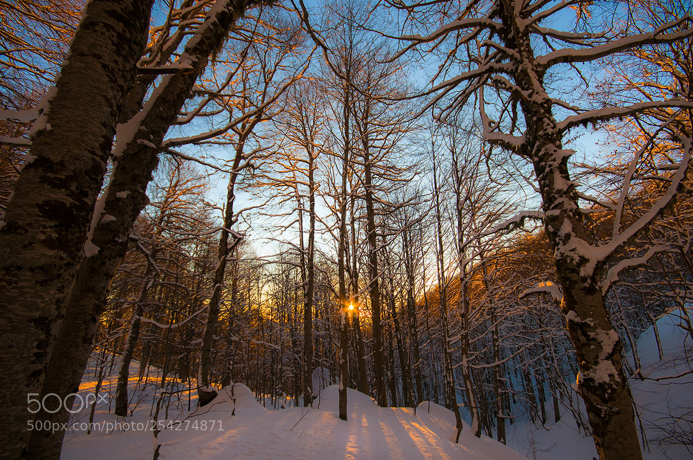 Nikon D300 sample photo. Cold dawn photography