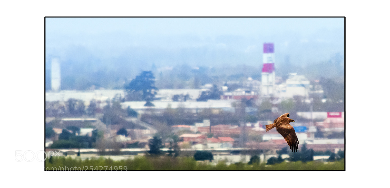 Nikon D7200 sample photo. Industrial & wild. photography