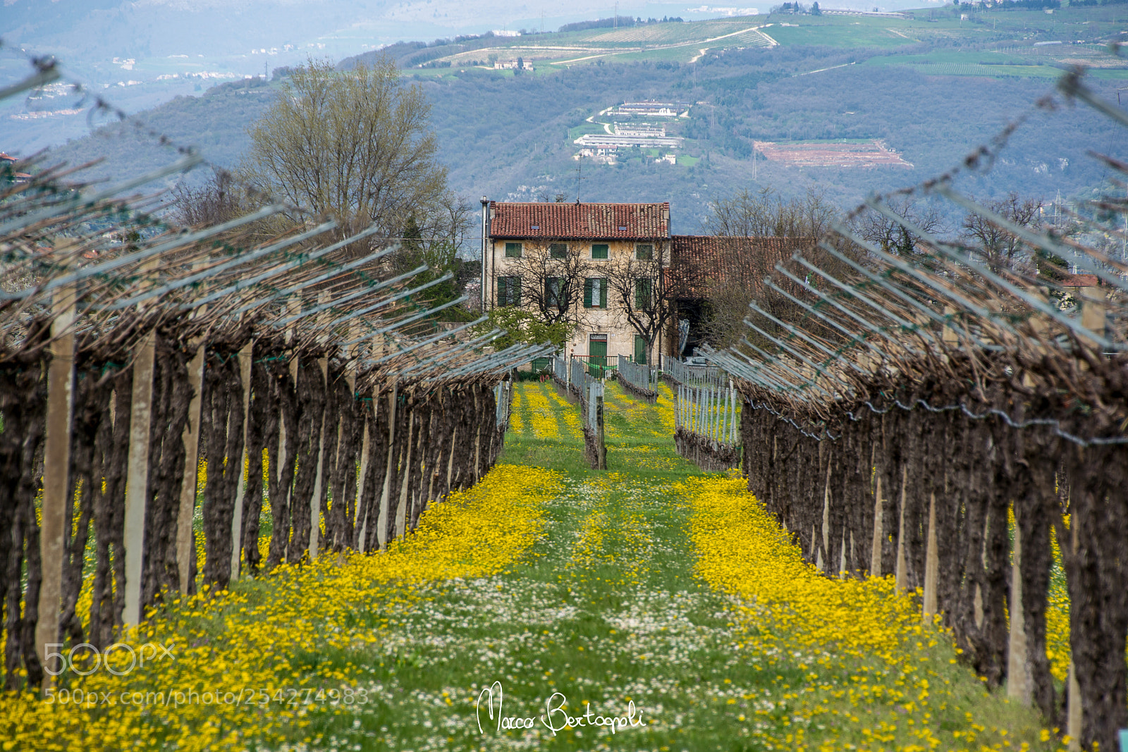 Nikon D5200 sample photo. Spring photography