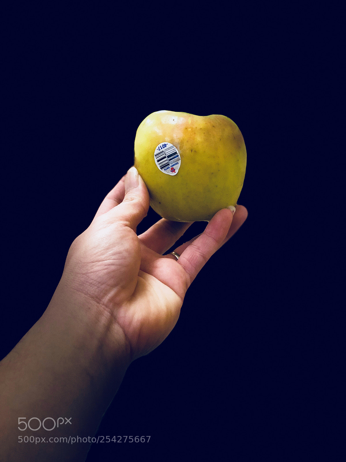 Apple iPhone X sample photo. Untitled photography