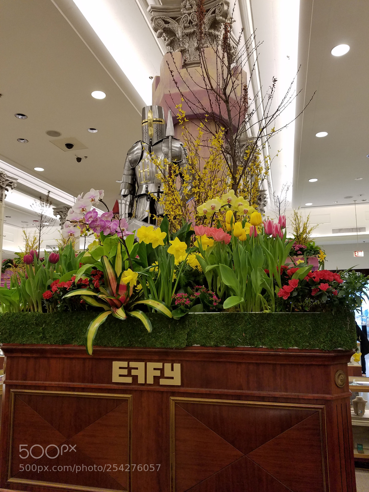 Samsung Galaxy S7 sample photo. Macy's flower show photography