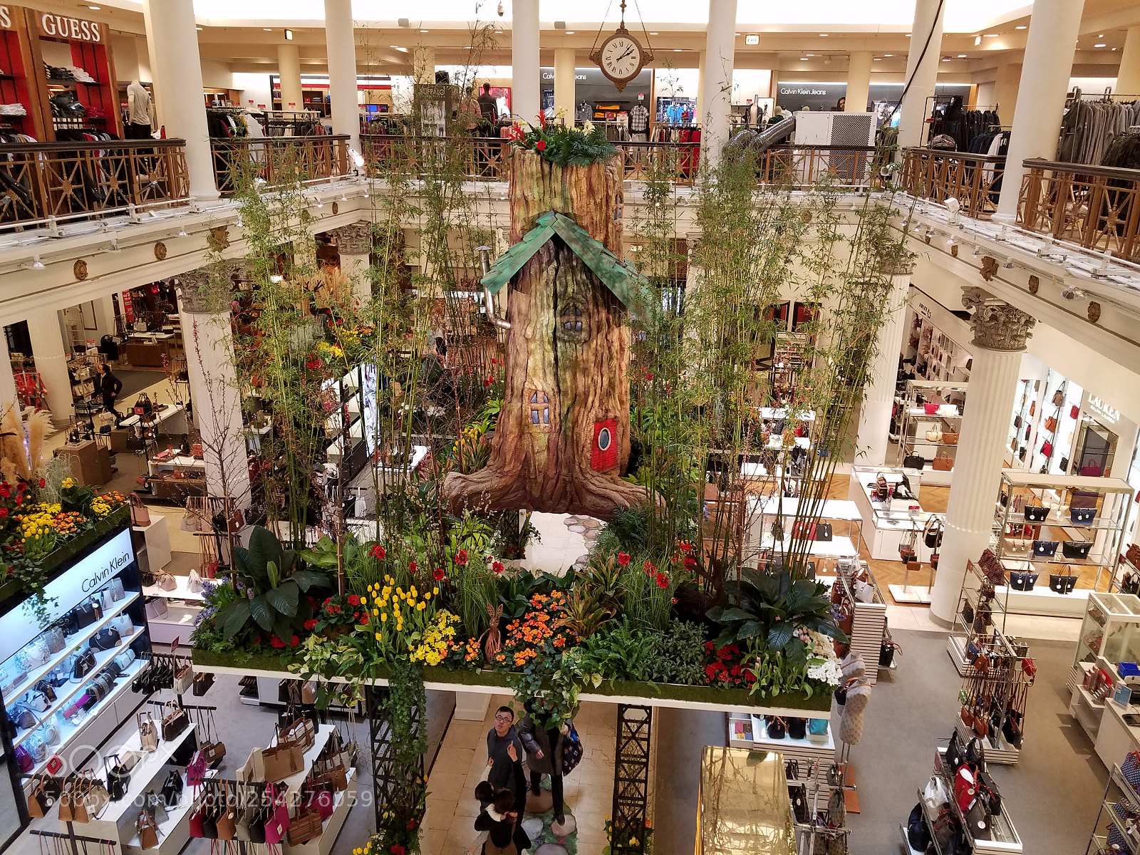 Samsung Galaxy S7 sample photo. Macy's flower show photography