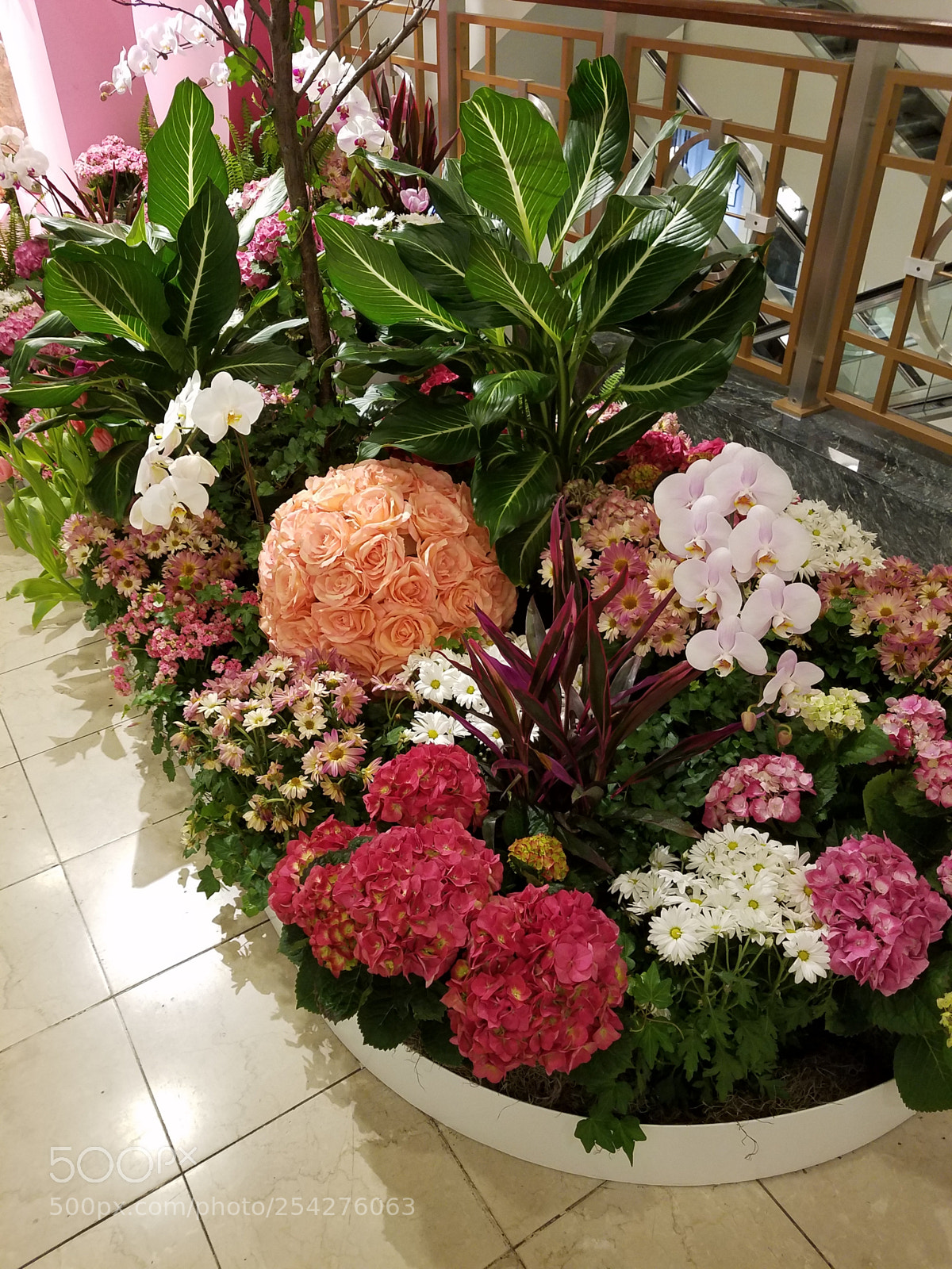 Samsung Galaxy S7 sample photo. Macy's flower show photography