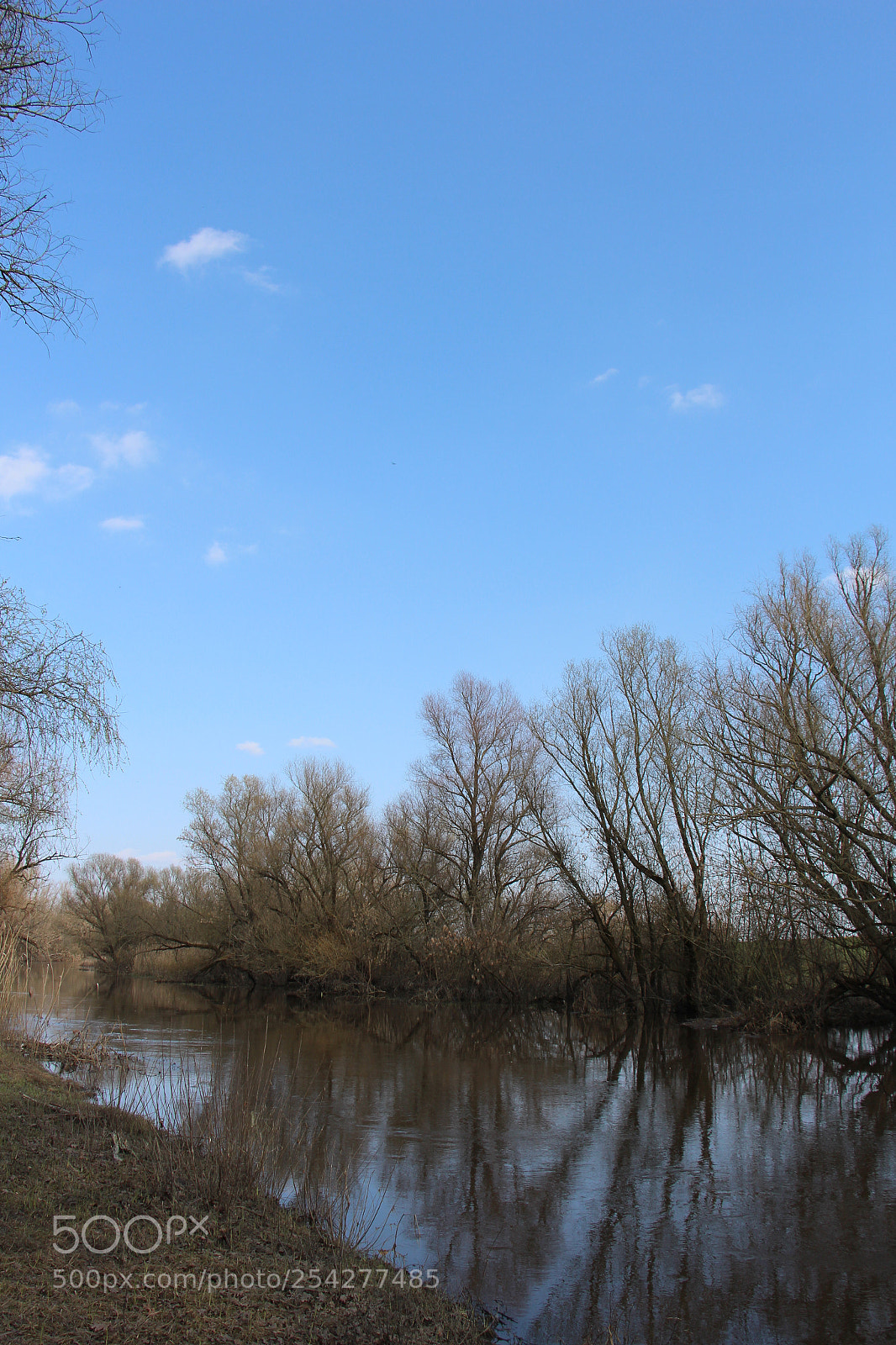 Canon EOS 700D (EOS Rebel T5i / EOS Kiss X7i) sample photo. Img photography