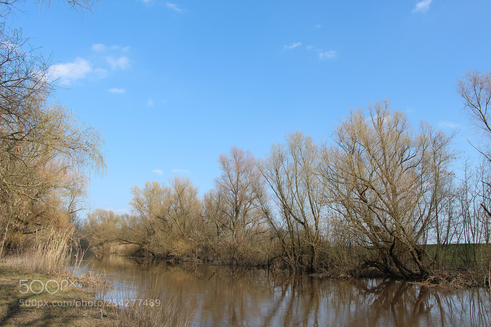 Canon EOS 700D (EOS Rebel T5i / EOS Kiss X7i) sample photo. Img photography