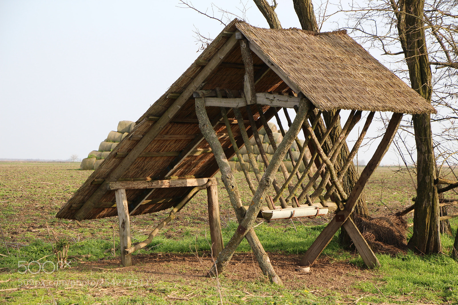 Canon EOS 700D (EOS Rebel T5i / EOS Kiss X7i) sample photo. Img photography