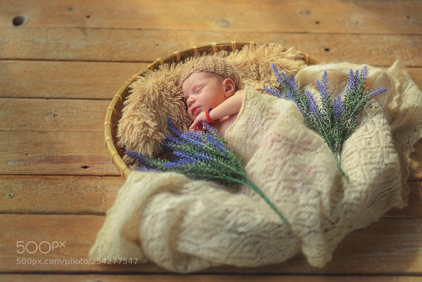 Nikon D610 sample photo. New born photography