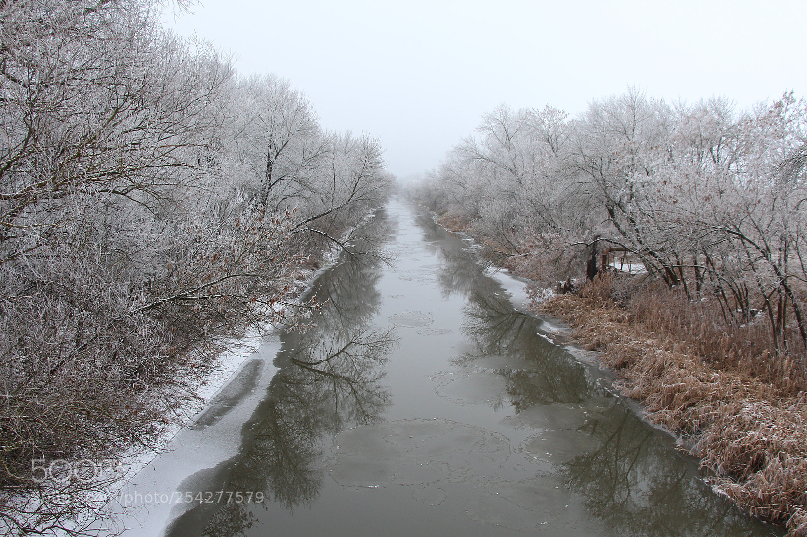 Canon EOS 700D (EOS Rebel T5i / EOS Kiss X7i) sample photo. Img photography
