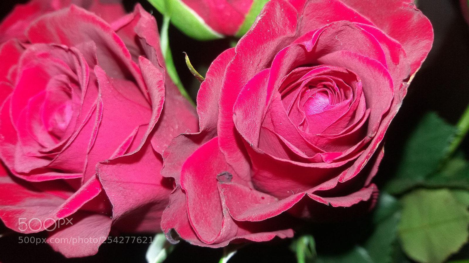 Samsung Galaxy J5 sample photo. 20161010_075835.jpg photography