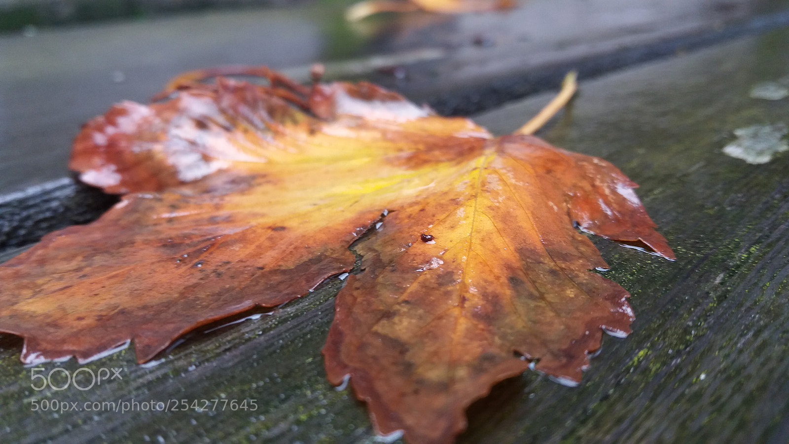 Samsung Galaxy J5 sample photo. 20161019_162407.jpg photography