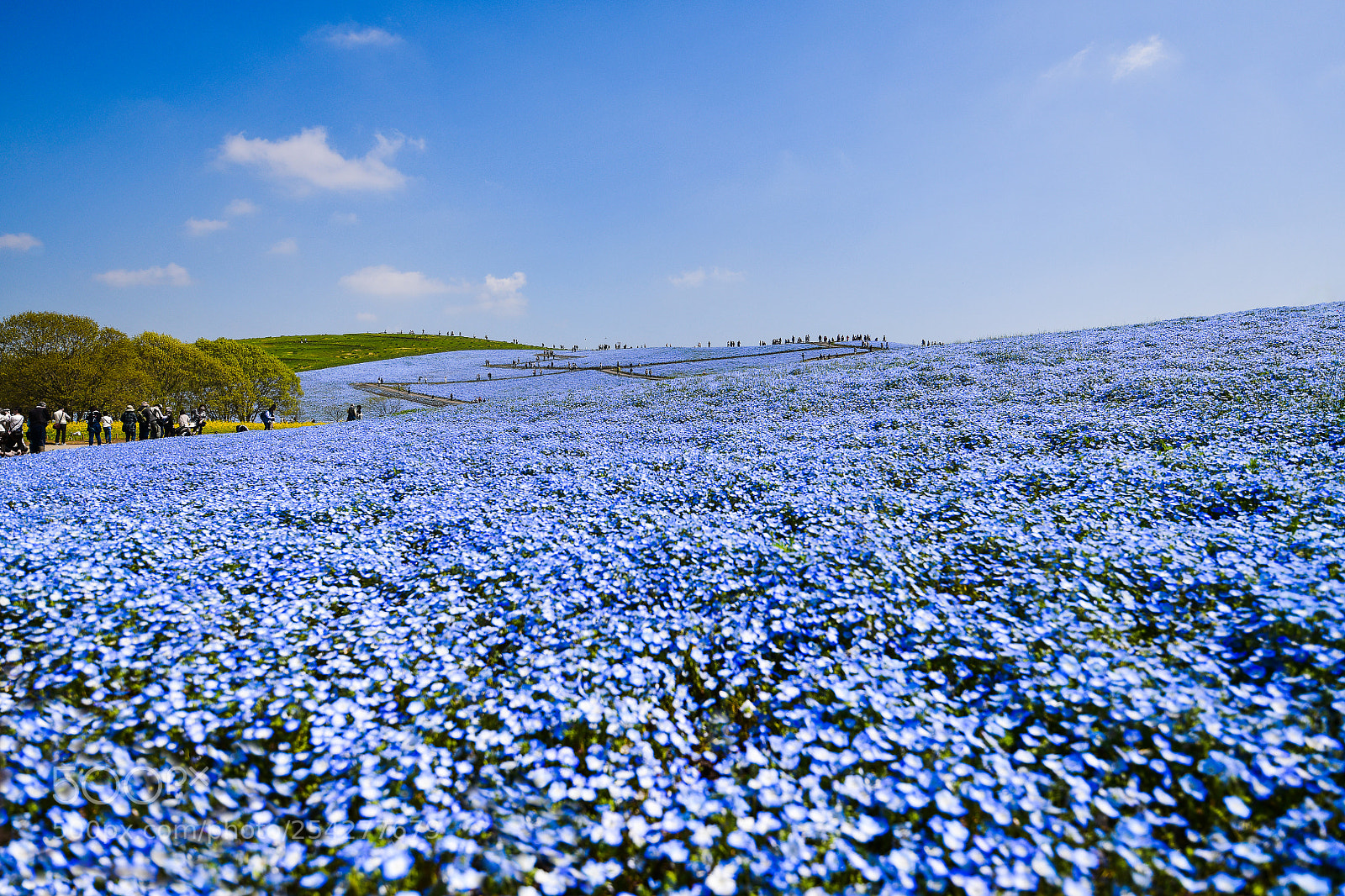 Nikon D850 sample photo. Blue hill photography